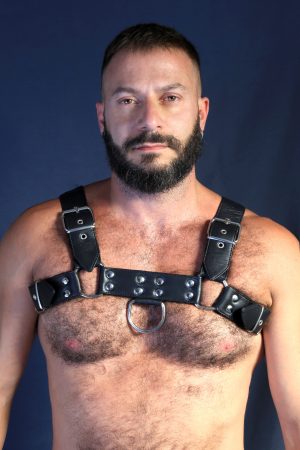 Viktor Rom Gay Leather Harness