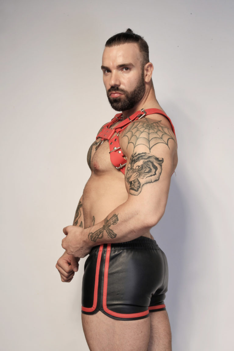 Red Leather Harness Max Hilton