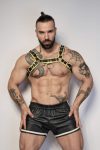 Yellow Leather Harness Max Hilton