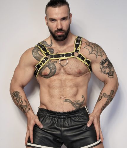 Yellow Leather Harness Max Hilton