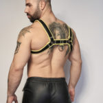 Yellow Leather Harness