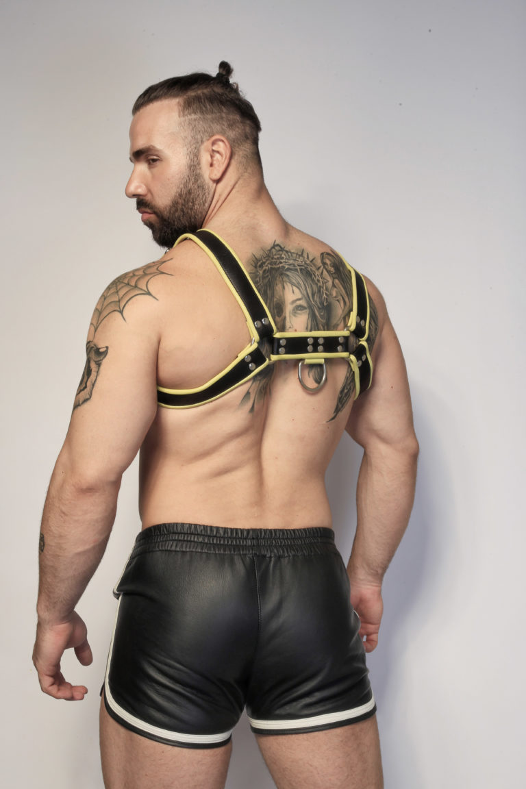 Yellow Leather Harness