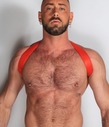 Leather Short Harness Red