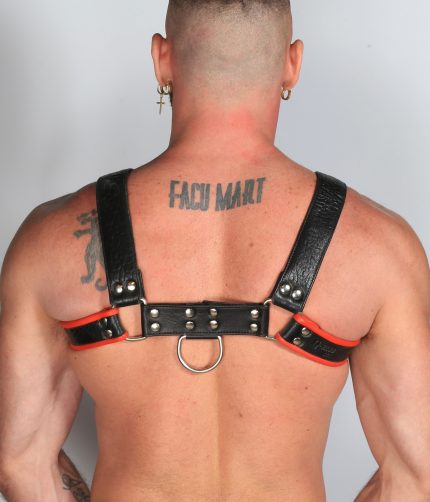 Leather Harness Black/Red