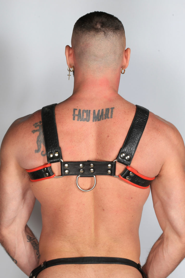 Leather Harness Black/Red