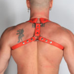 Leather Short Harness Red